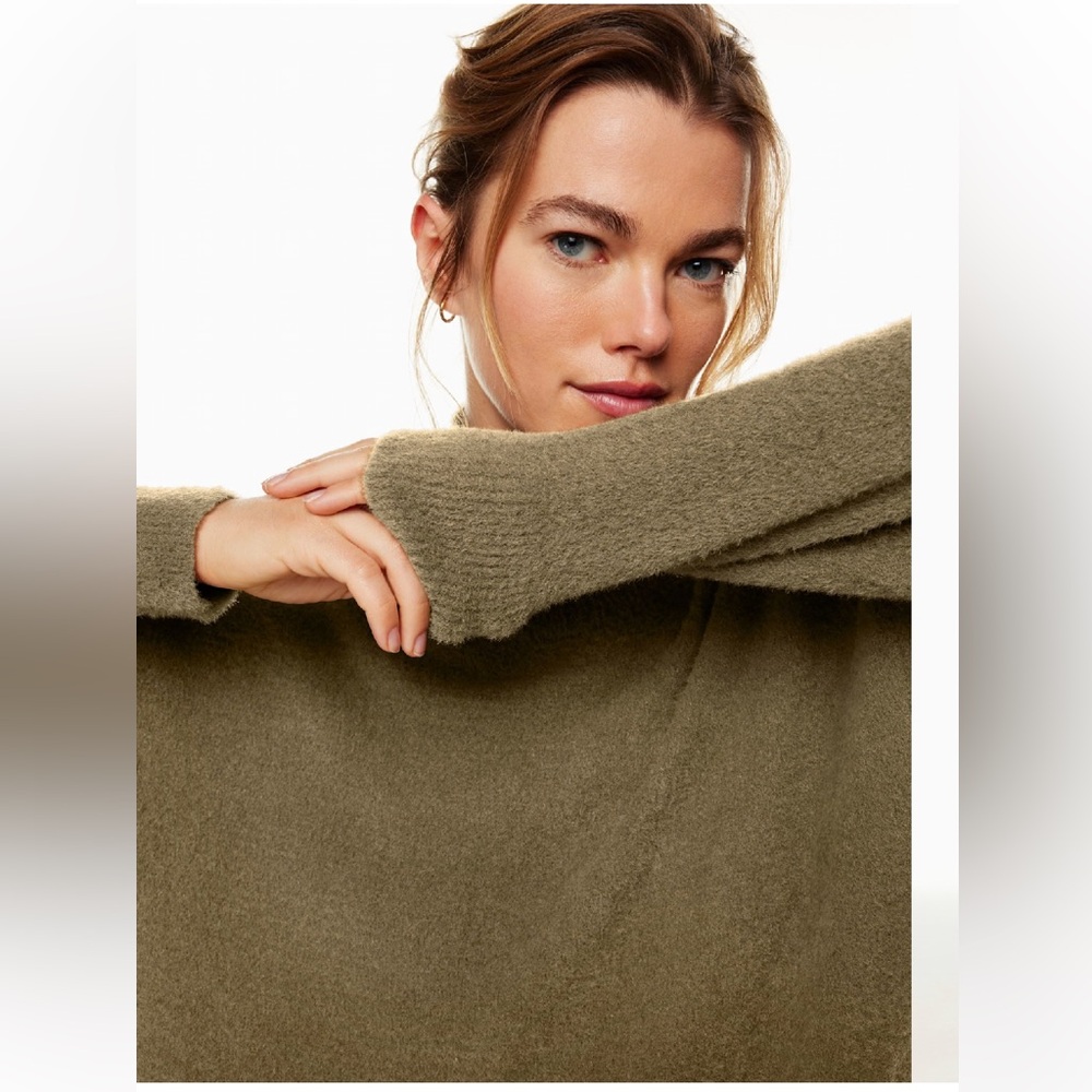Wilfred Free: Aritzia Hush Knit Turtleneck